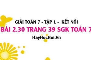 Giải bài 2.30 trang 39 Toán 7 Tập 1 SGK Kết nối tri thức